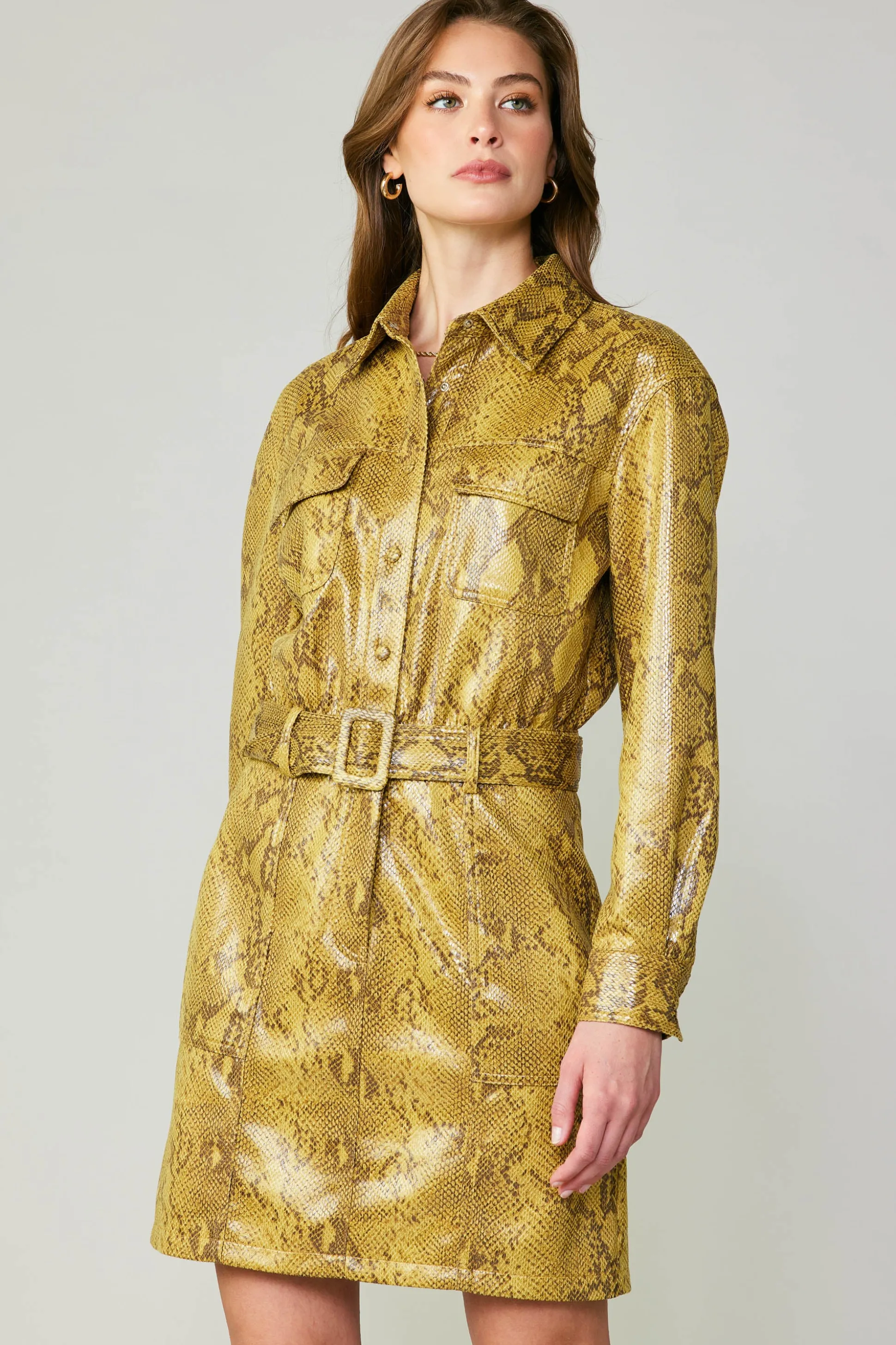 Snakeskin Shirt Dress<Current Air Best
